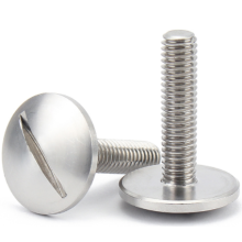 M4*25mm Stainless Steel ss304 ss316 Slotted Truss Head Screws